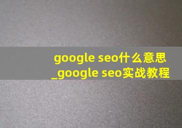 google seo什么意思_google seo实战教程